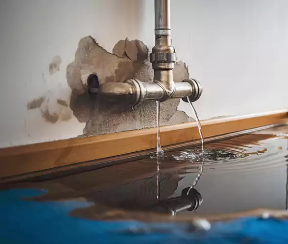 Professional Water Damage Restoration Experts in Port St. Lucie, FL — Fast, Reliable & Certified